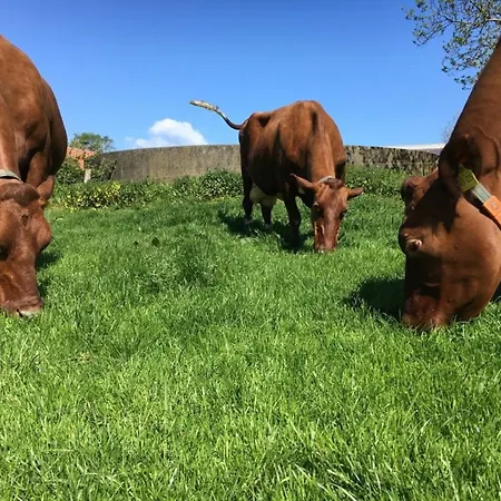 Tante Anna Lejlighed