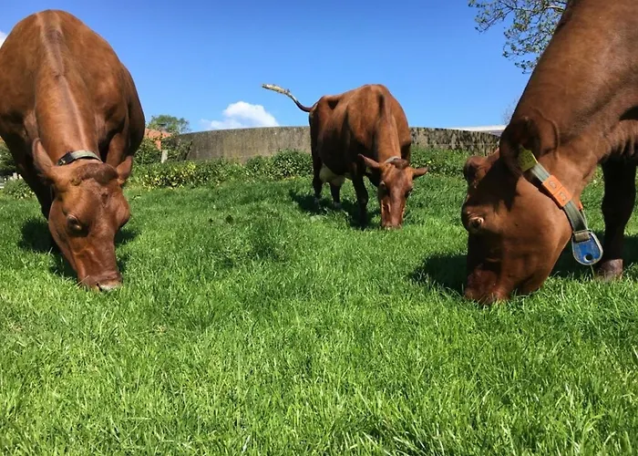 Tante Anna Apartamento